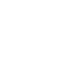 Merwas logo